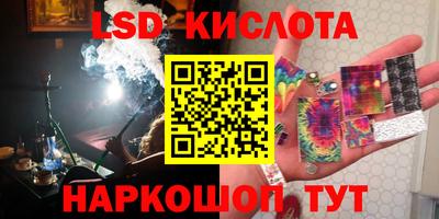 прущие грибы Конаково