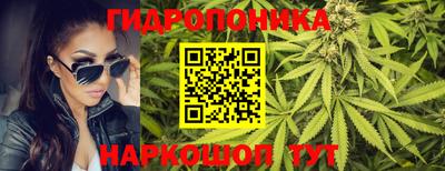 прущие грибы Конаково