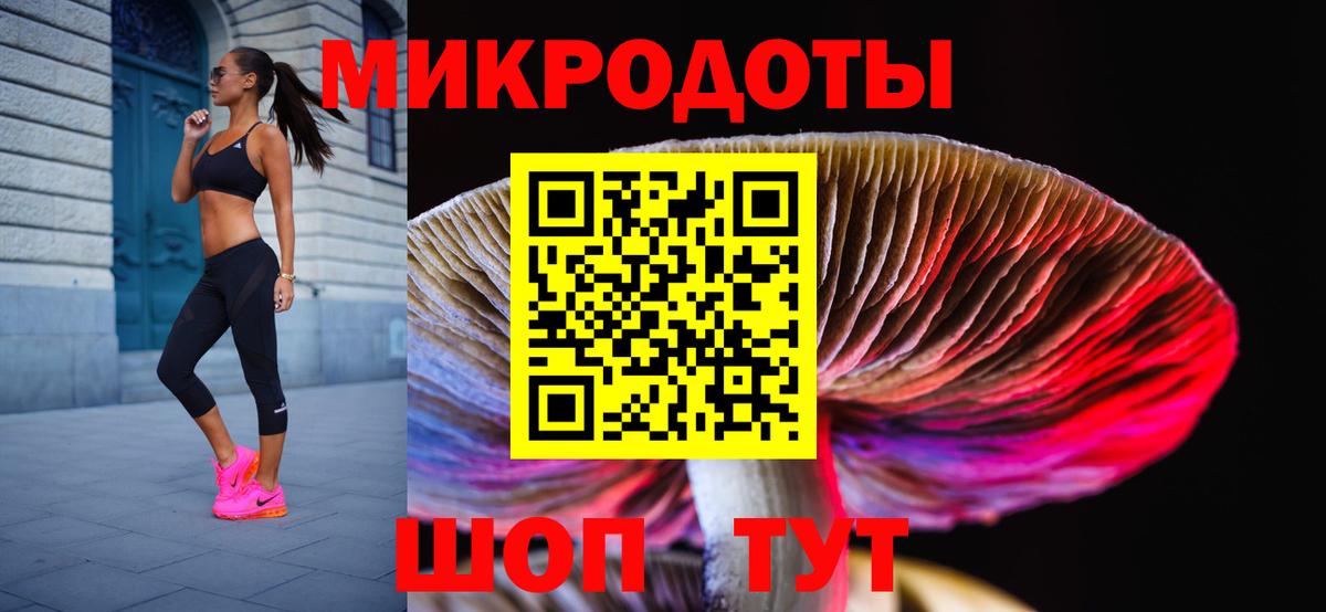 Псилоцибиновые грибы Cubensis Камышин