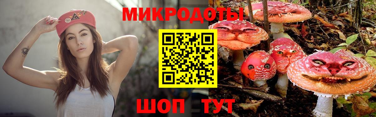 наркотики  Вход с VPN  Камышин  Псилоцибиновые грибы Psilocybine cubensis 